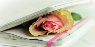 La forza della resilienza La forza della resilienza