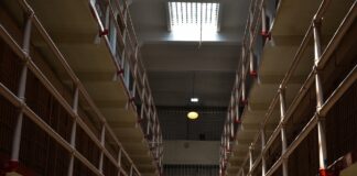 Carcere agli evasori, maggioranza d’accordo Carcere