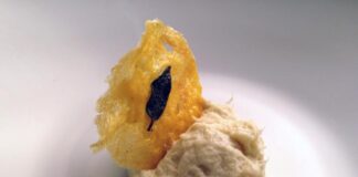 Roma: Sogno Autarchico, wine bar Bistrot Sogno autarchico