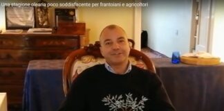 Una stagione olearia poco soddisfacente per frantoiani e agricoltori Stagione olearia