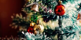 Buone pratiche di sostenibilità per un Natale green albero di natale