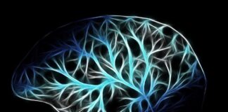 Creati i primi neuroni artificiali neuroni