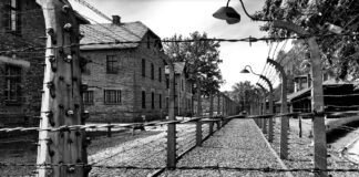 Un italiano su sei crede che la Shoah sia un’invenzione Campo di concentramento di Auschwitz