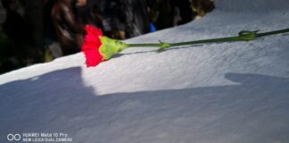 Hammamet e dintorni Hammamet Tomba di Craxi (1)