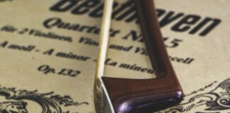 A Perugia concerto per inaugurare l’anno internazionale beethoveniano beethoven