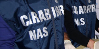 Chi difende i nostri pasti? Il ruolo dei NAS Chi difende i nostri pasti? Il ruolo dei NAS