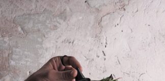 Milano: ristorante 28 Posti Milano: ristorante 28 Posti