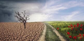 Your life for a steak Climate change