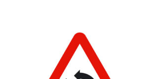 Il circolo vizioso dell’incompetenza circolo vizioso dell'incompetenza