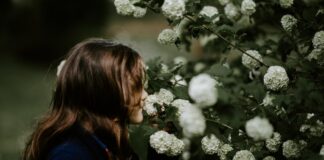 Ecco come il cervello codifica gli odori odori