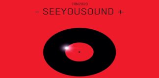 Seeyousound, il festival che unisce cinema e musica a Torino seeyousound