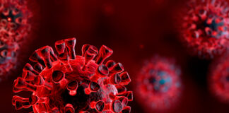 Come i casi di coronavirus sono cambiati dopo che ogni stato ha riaperto Covid19