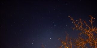 Solo un incubo incubo