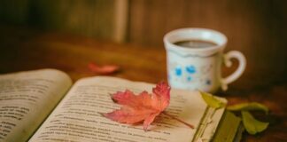 Il libro sul comò Il libro sul comò