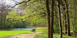 Pace rubata pace rubata