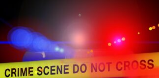 In Italia si uccide molto poco omicidi