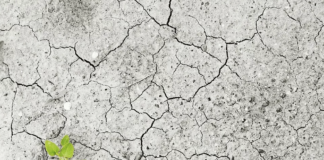 Il cambiamento Cambiamento