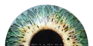 Marjan Fahimi: tra declinazioni astratte e soluzioni figurative Green Iris