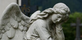 La vita di fronte alla morte La vita di fronte alla morte