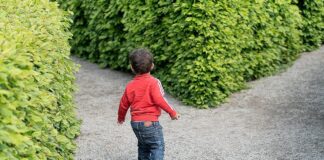 Occorre una nuova strada per superare questa crisi ed una legge fallimentare ad hoc bambino