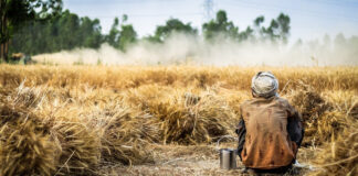 La colpa ,la pena e il guadagno La colpa ,la pena e il guadagno
