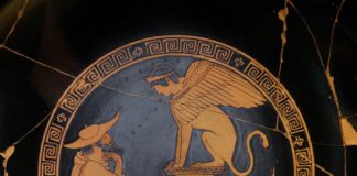 Il virus del cruciverba Il piacere dei sensi