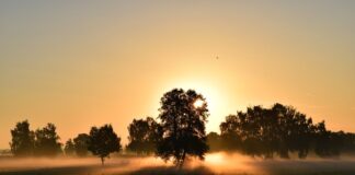 La fine o un nuovo inizio? rinascita