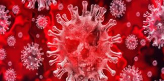 La recrudescenza del virus sopraffà gli stati, Washington si tira indietro Coronavirus