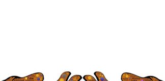 Qual è lo scopo della nostra Politica? integrazione e solidarietà