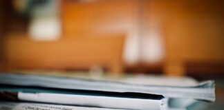 Ultime notizie e curiosità dal mondo notizie