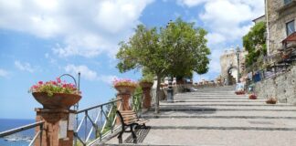 La cultura del rifiuto di Pio Canu cilento