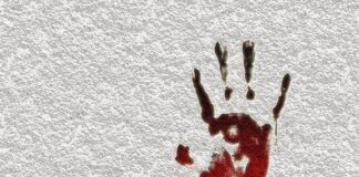 Uccide cinque figli e tenta il suicidio Nella tarda mattinata di ieri a Solingen, in Nordreno-Vestfalia, una mamma di 27 anni ha presumibilmente ucciso cinque dei suoi sei figli