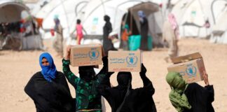 Il premio Nobel per la pace 2020 premio nobel per la pace 2020