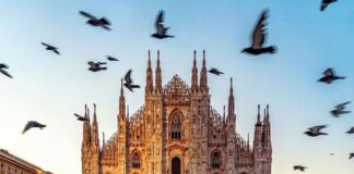 Paura a Milano, passanti accoltellati fuori dalla stazione Centrale Milano duomo