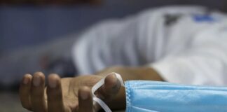 Covid a New York: centinaia di cadaveri abbandonati nelle celle frigorifere cadaveri