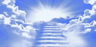 La grande abbuffata: dialogo in Paradiso paradiso abbuffata