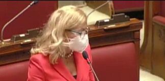 I misteriosi aiuti economici per gli italiani all’estero Nissoli