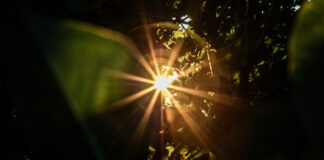 Ci vuole un semaforo per andare oltre lo specchio di Alice luce in fondo al tunnel