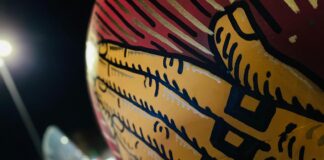 Progetto GAU – Intervista Progetto GAU