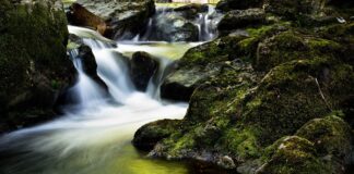 Streaming e cultura… digitale streaming