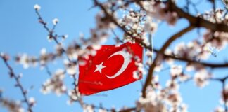 Le donne turche non sono sole Bandiera Turchia