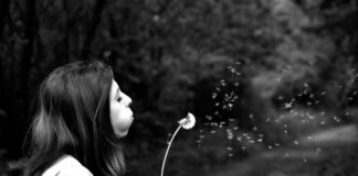 Decalogo delle cose che vorrei desideri