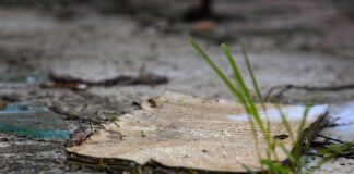 Il dovere della memoria Fare memoria