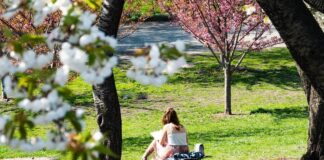 Primavera a New York new york