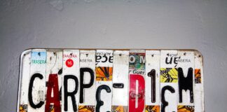 Carpe Diem carpe-diem