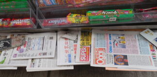 La stampa etnica negli Usa non deve essere la cenerentola dei media Ethnic Media