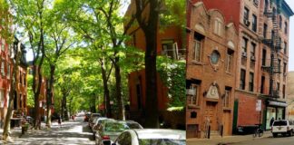 Le zone povere di alberi, sono… povere Alberi in città si e no