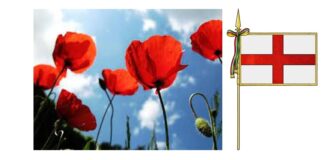 Lo sai che i papaveri li ho visti a Pontida Lo sai che i papaveri pontida