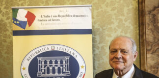 Può il Presidente di un organo di rilievo costituzionale svolgere attività operativa del potere esecutivo dello Stato? Treu Cnel