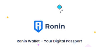 Furto da 625 MLN di $ dalla Blockchain Ronin? Stasera su Twitch con Lorenzo Zaccagnini scopriamo perchè ronin-blockchain